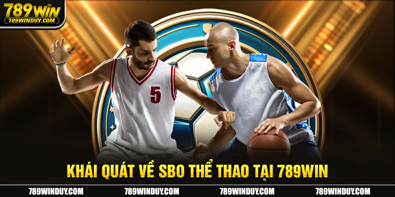 Khái quát về SBO thể thao tại 789WIN