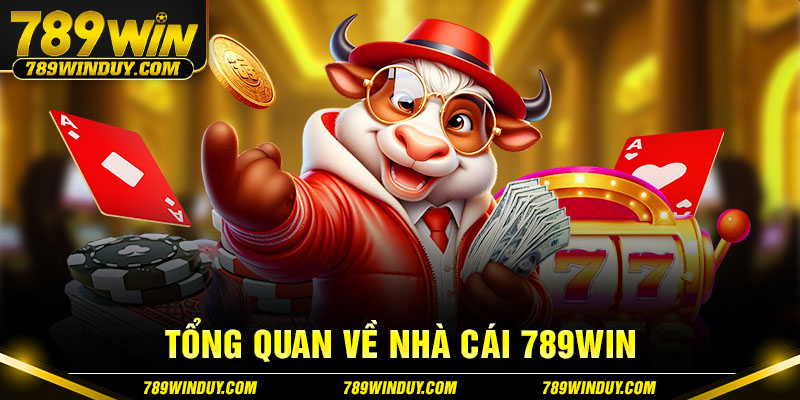 Tổng quan về nhà cái 789WIN